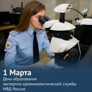 С днем экспертной службы открытки