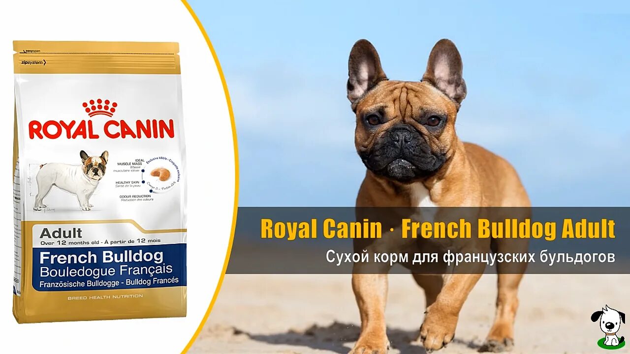 Royal Canin French Bulldog Adult (французский бульдог Эдалт). Сухой корм для собак породы французский бульдог Royal Canin French Bulldog Adult,. Роял Канин французский бульдог Юниор. Сухой корм Роял Канин для французских бульдогов. Французский корм для собак