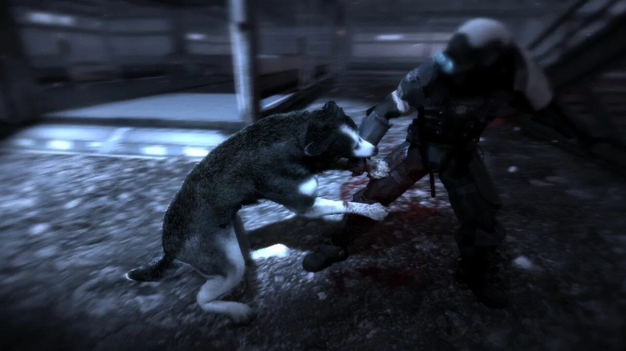 Dead to rights 2002. Dead to rights: retribution. Dead to her. Мерил стрип и голди хоун. Dead to her.