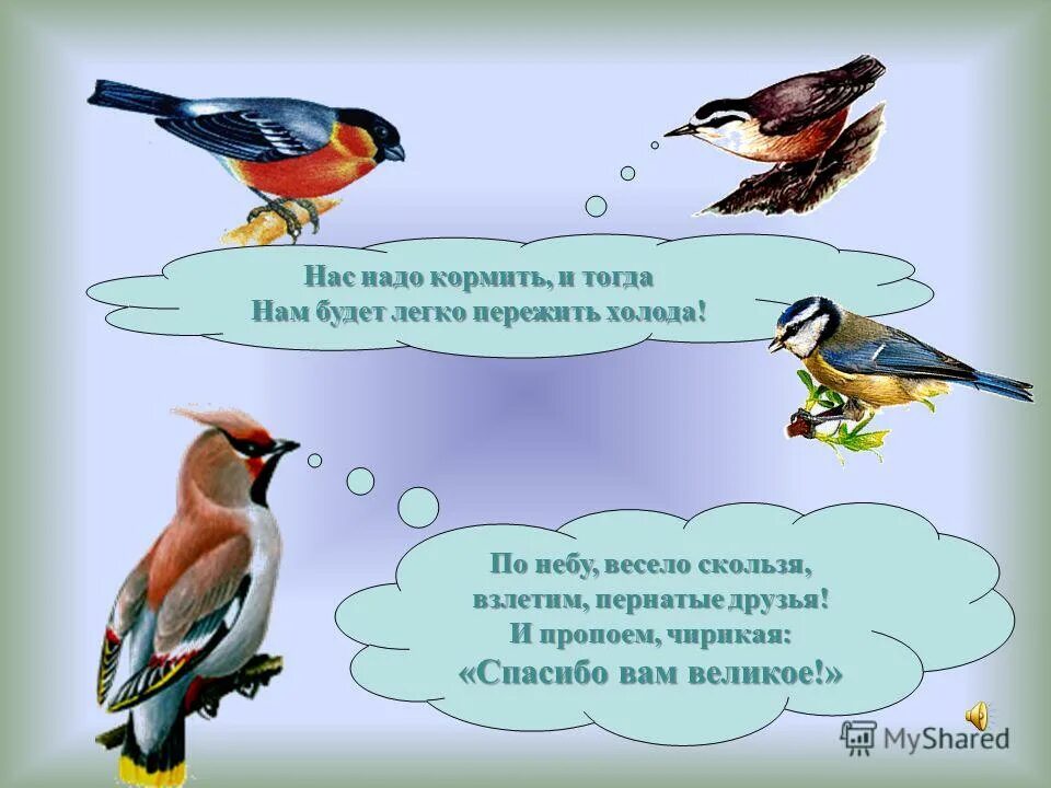 Певчие птицы наши верные друзья нужно тире. Птицы наши друзья. Проект наши пернатые друзья. Птицы слайд. Птицы наши пернатые друзья.