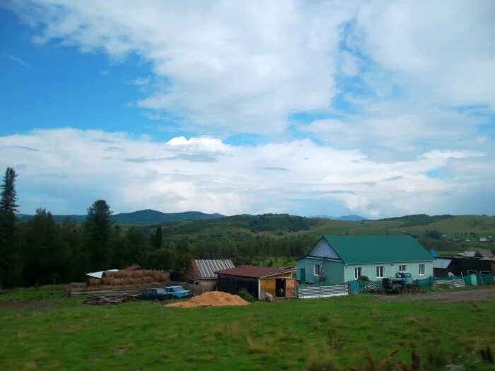 Ускуч. Ускуч республика алтай. Рыба ускуч в казахстане. Ускуч республика алтай. Ускуч рыба республика алтай.