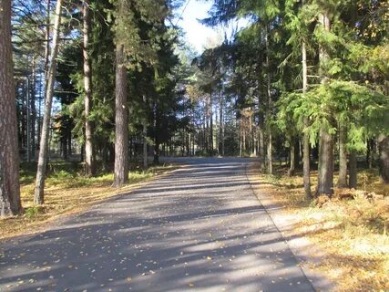 Прогноз погоды в сосновом бору на неделю