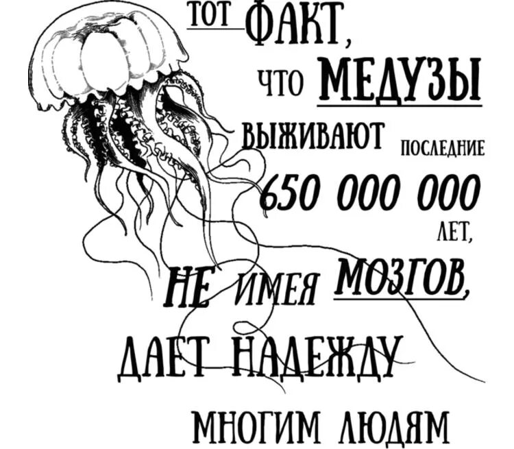 У медузы есть мозги. Медузы живут без мозгов. Тот факт что медуза. Тот факт что медуза выжила 650. Тот факт что медуза выжила 650 миллионов лет без мозгов.