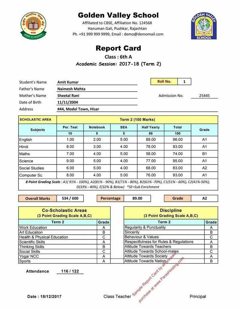 School report. Student Report Card. School Report example. Sample of Primary School Report Card. Primary School Report Sample.