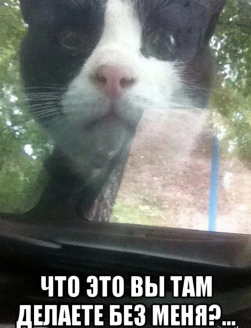 Ну что там делала. Остров проклятых мемы. Медведев держитесь там. Ну что там делала. Ну ты.