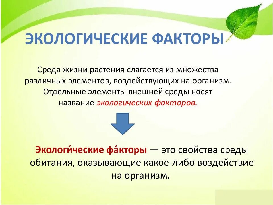 Факторы жизни растений. Действие факторов среды на растения. Факторы влияющие на растения. Экологические факторы влияющие на орг. Важнейшие абиотические факторы.