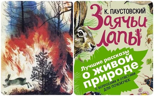 Паустовский заячьи лапы обложка книги. Заячьи лапы Паустовский книжка. Паустовский лапка