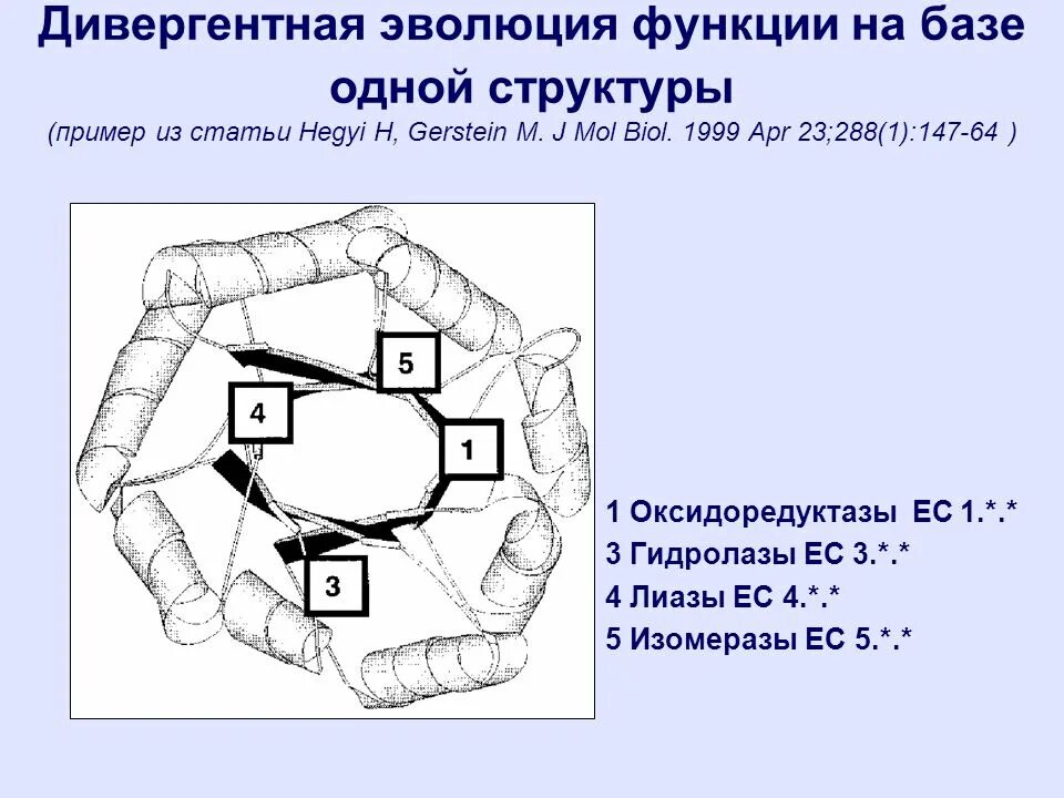 Дивергентные вакцины. Дивергентные вакцины примеры. Дивергентная Эволюция примеры. Дивергентные вакцины это микробиология. Дивергентные 2