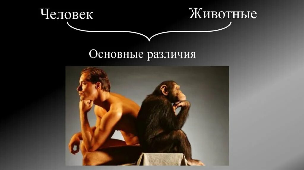 Речь отличие человека от животного. Человек от животного. человек отличается от животного. от животных человеку. основные отличия человека от животного.