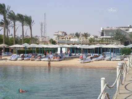 Хургада minamark resort spa 4 отзывы