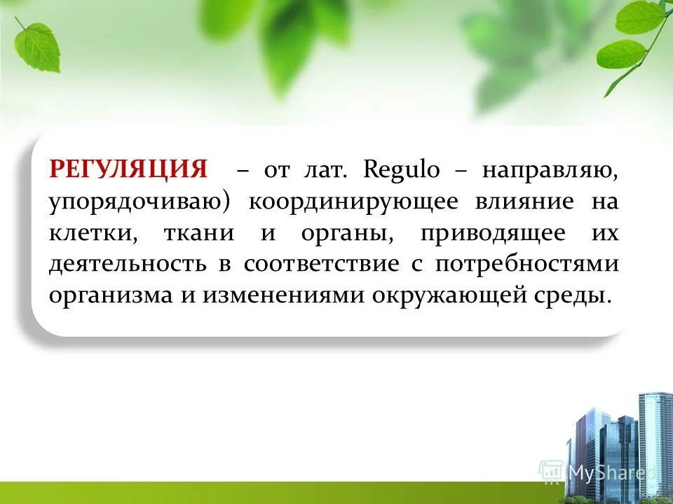урок 5 класс понятие об организме. урок 5 класс понятие об организме. понятие организм в биологии. понятие живой организм. дайте определение понятию организм.