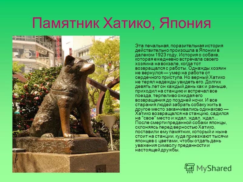 Где находится памятник хатико. Памятник собаке в японии хатико история. памятник собаке хатико в японии. памятник собаке хатико история. памятник собаке хатико в россии.