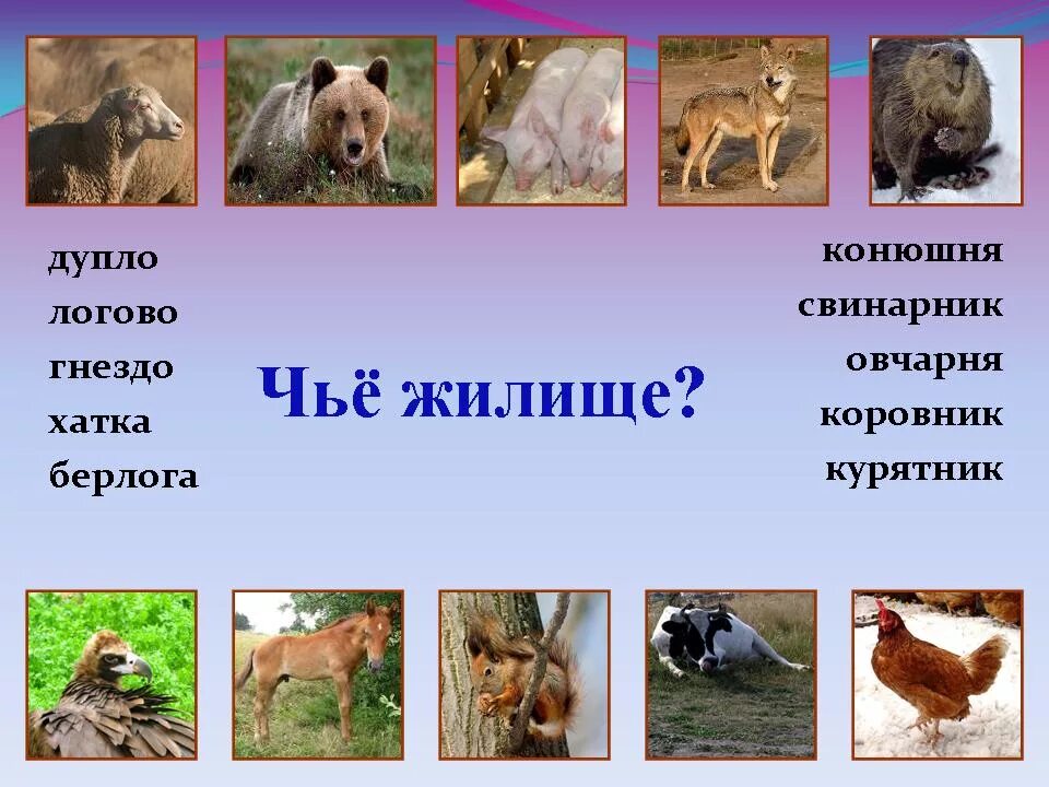 Дикие животные 2 класс окружающий