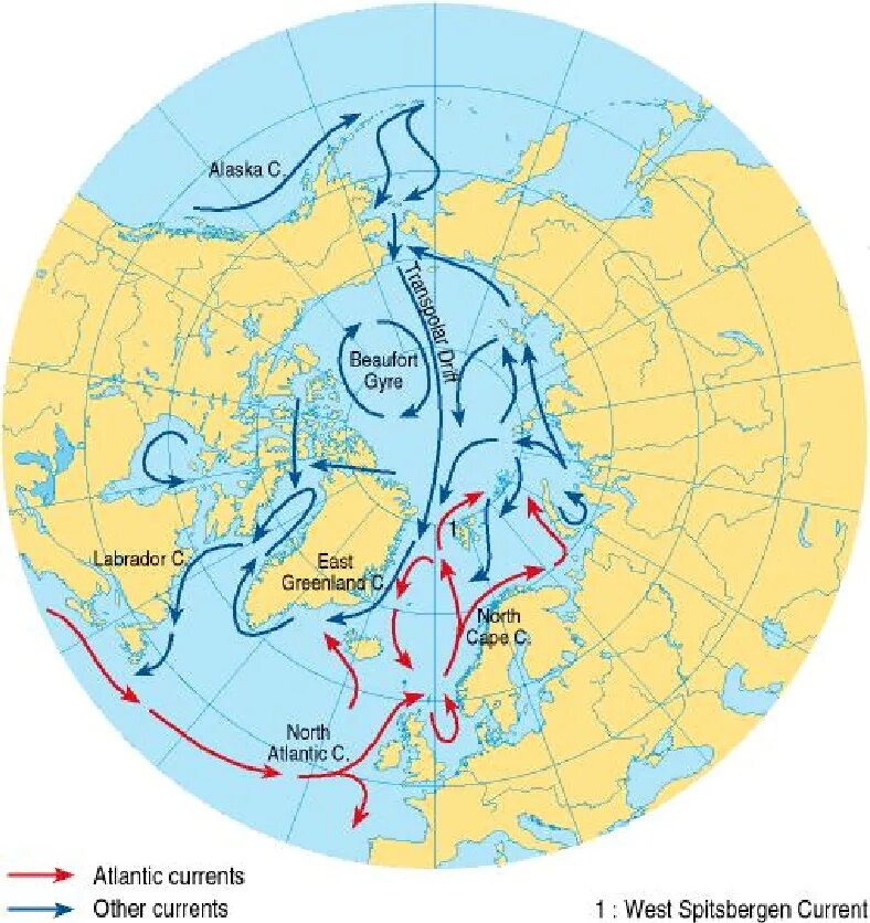 Какое направление в северном полюсе. Течения Северного Ледовитого океана. Теплые течения Северного Ледовитого океана. Течение течение Северного Ледовитого океана. Течения Северного Ледовитого океана на карте.