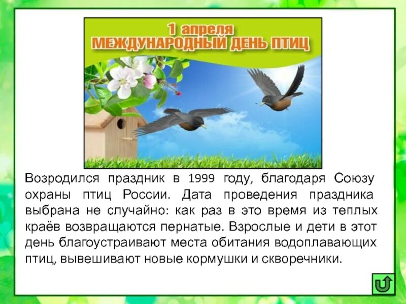 День птиц статья в детском саду. День птиц. Международный праздник птиц. День птиц информация. Апрель день птиц.