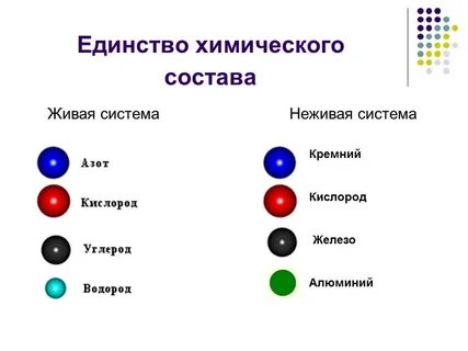 Химические связи в живых организмах