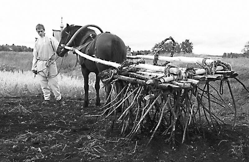 Пахотная лошадь. Древний труженик. Соха и борона. Пахота сохой. Крестьяне с сохой в поле 18 век.