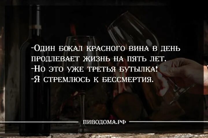 Есть один раз в день вечером. Цитаты про вино. Афоризмы про вино. Цитаты про алкоголь смешные. Красивые цитаты о вине.