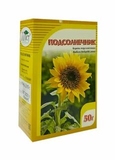 Корень подсолнуха