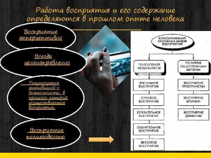 Содержание восприятия определяет ответ. Опыт прошлого в психологии. опыт восприятия. зависимость восприятия от прошлого опыта. прошлый опыт человека.