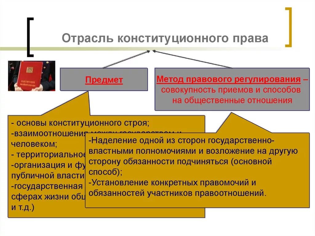 Конституционное право метод отрасли. Конституционное право регулирует деятельность судов