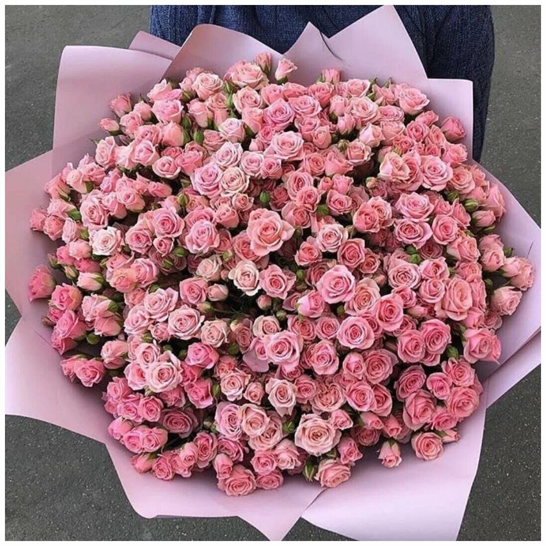 Букет розовый купить. Кустовые розы 101 штука. Красивые большие букеты.