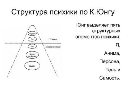 Самость юнга