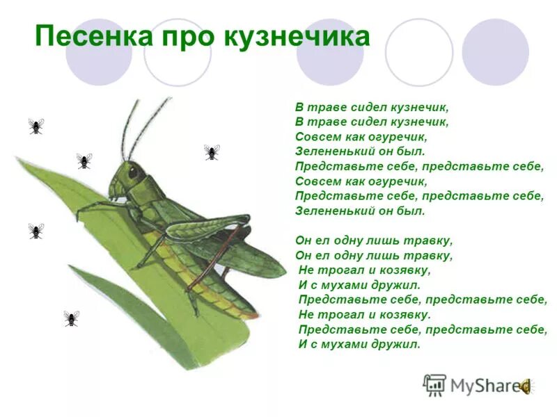 Песенка в траве кузнечик