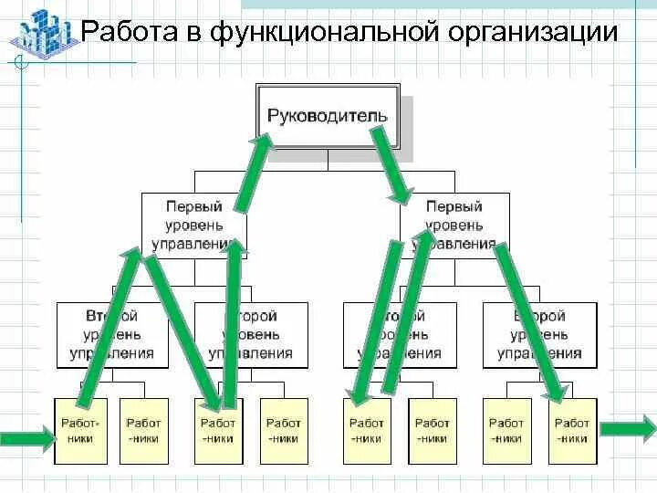 Функциональная организация движений