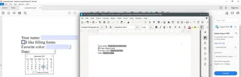 Pdf writer c
