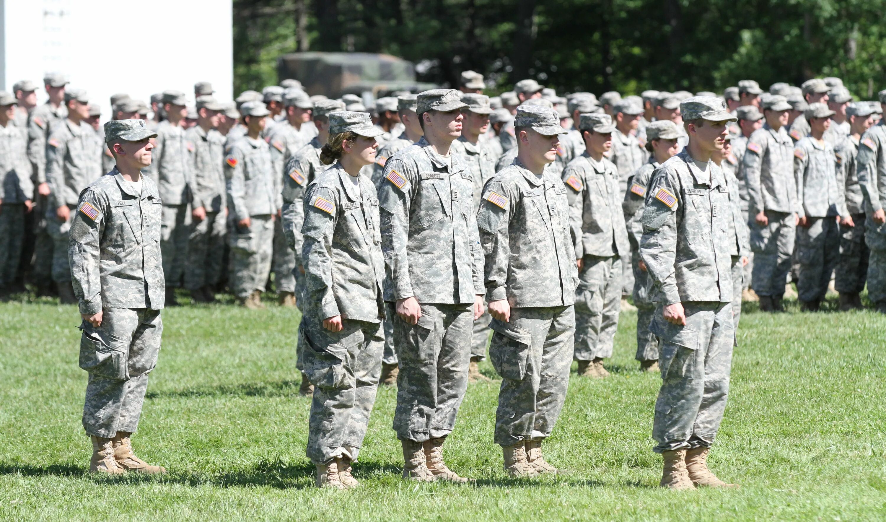 95th training division. Military issues. Us army shoulder blade. Тактикульный. West point military academy.
