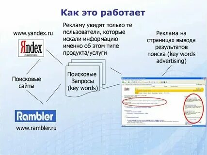 8 поисковых запросов о диких животных