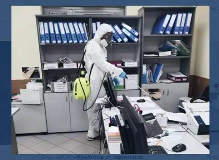 Городская сэс
