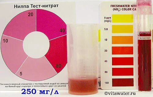 Нитрит тест. Тест на нитраты нитриты. Определение нитратов и нитритов в воде. Тест воды на нитраты. Фотометрические методы определения нитратов и нитритов в воде.