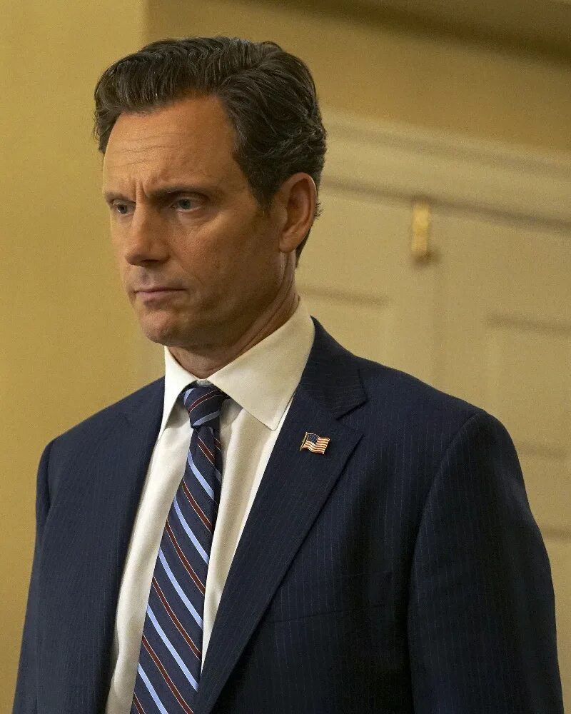 Ллойд голдвин. Tony goldwyn. Энтони ховард голдуин. Tony goldwyn 1990. Тони голдуин молодой.