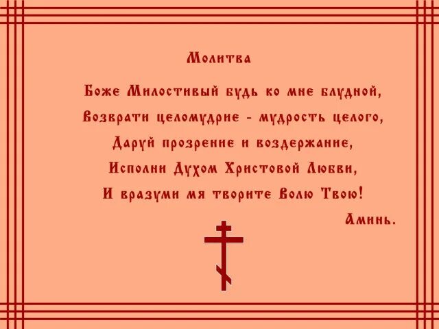 Молитва на сохранен. Молитва о целомудрии. Молитва о прозрении. Молитвы о сохранение целомудрие. Молитва о целомудрии за детей-.