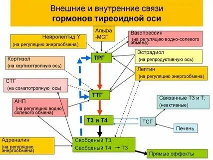 Соматомедин
