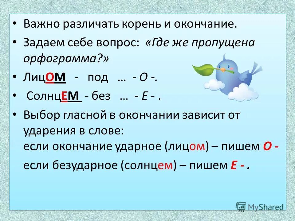 Окончание в слове свечу. Орфограммы в окончаниях слов. Орфограммы в окончаниях существительных. Примеры орфограмм в окончаниях. Орфограммы в окончаниях слов правило.