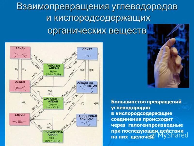 Генетическая связь кислот