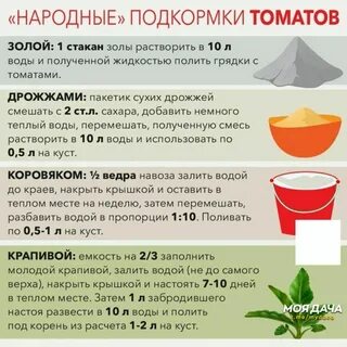Сколько раз удобрять помидоры