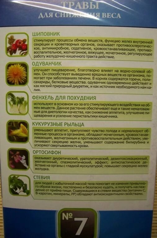 Какая трава снижает аппетит и вес. Травы для похудения сжигающие. травы для похудения снижающие аппетит. растения для понижения аппетита. травяной чай для уменьшения аппетита.