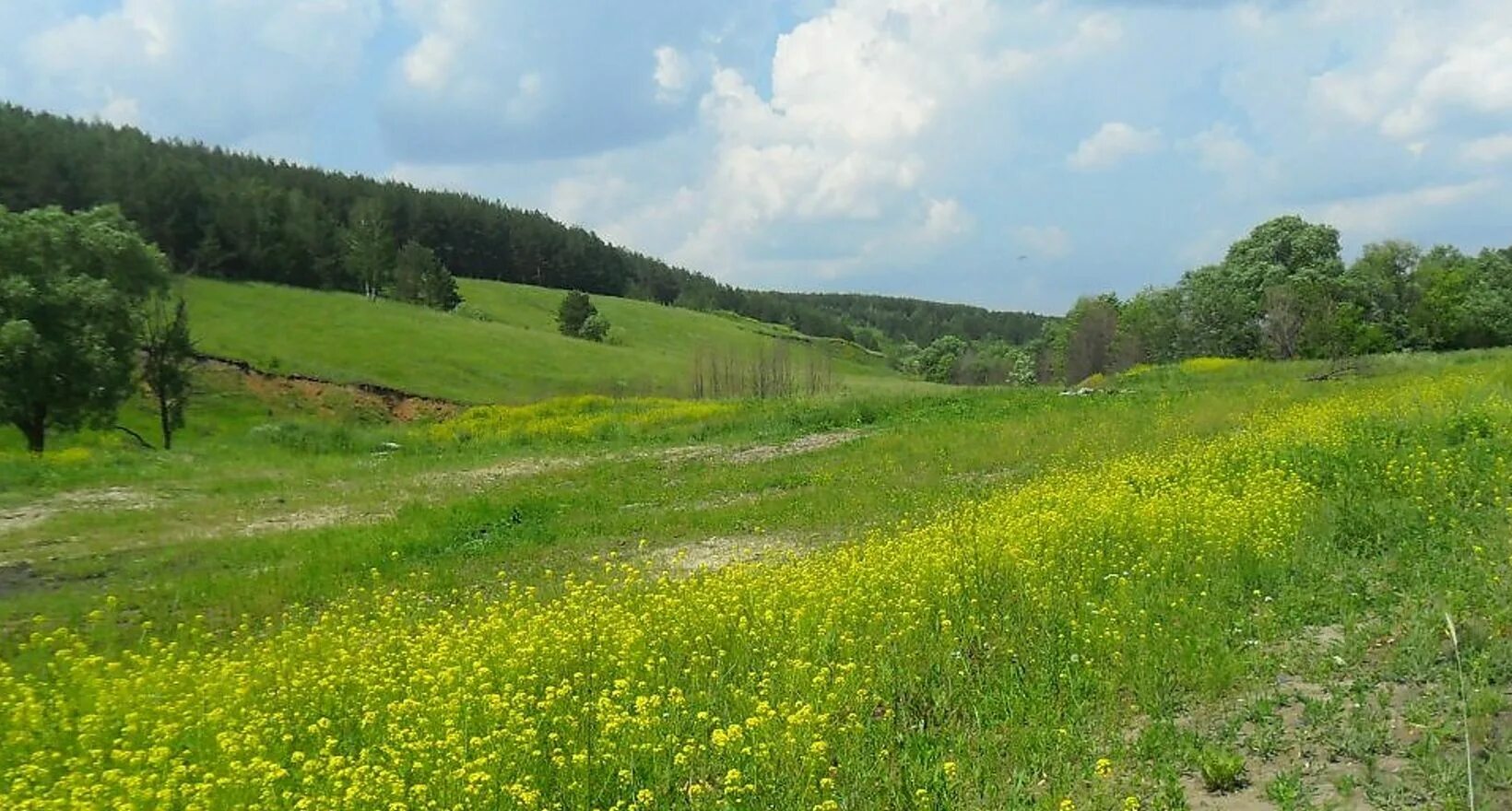 Отоматериал "природа родного края " Приднестровье. Родной край. Природа нашего края. Красота нашего края.