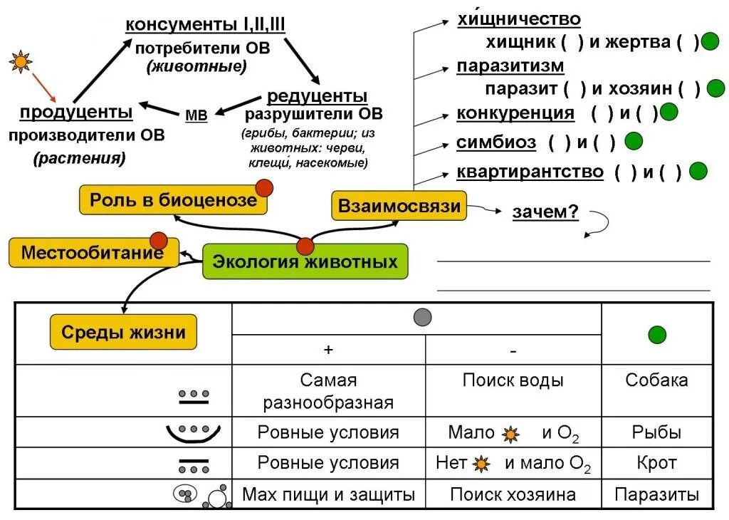 Опорный конспект по биологии 6 класс. Опорные конспекты биология 6 класс. Опорный конспект по биологии 5 класс. Опорные конспекты по биологии 10-11 класс. Экология егэ русский язык