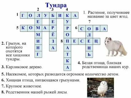 Лиственный лес 6 букв сканворд