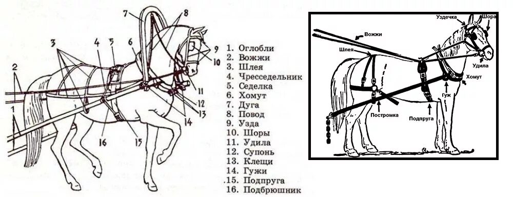 Как называется на коне