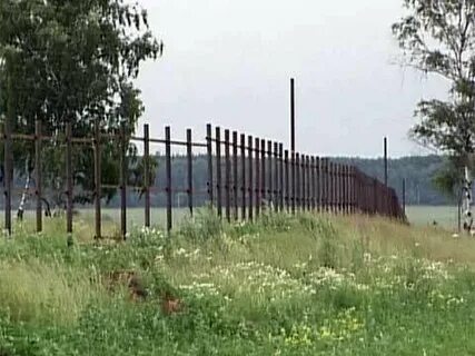 Участок думы