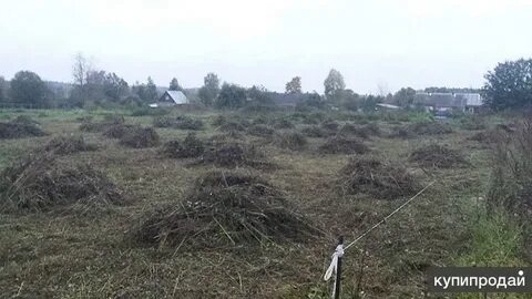 Красногорские покосы