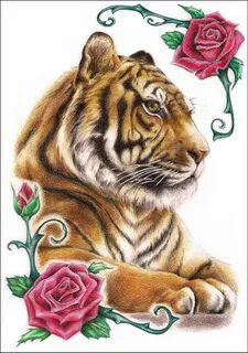 Tiger rose