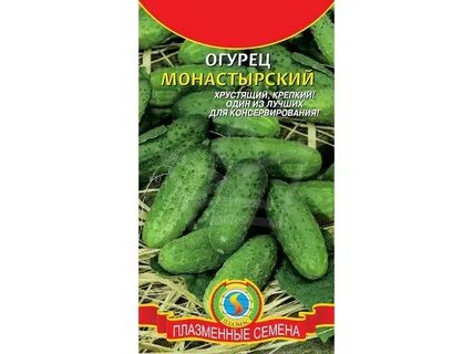 Огурцы сорт монастырский