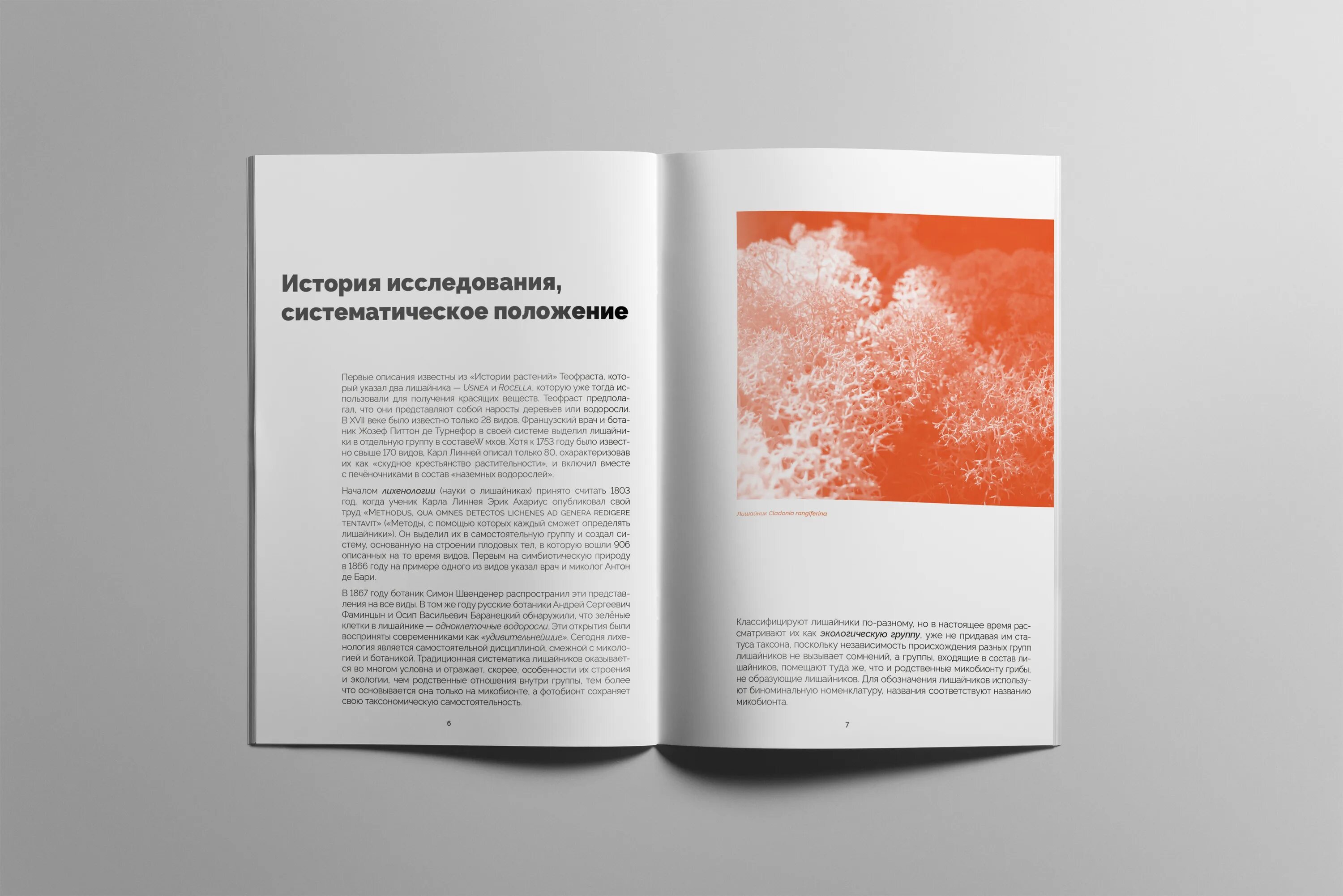 Виды буклетов для проекта. Содержание брошюры. Брошюра каталог буклет. Содержание брошюры. Содержание буклета.